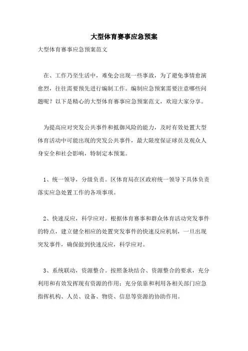 大型体育赛事应急预案