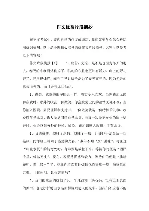 作文优秀片段摘抄