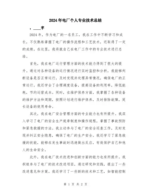 2024年电厂个人专业技术总结