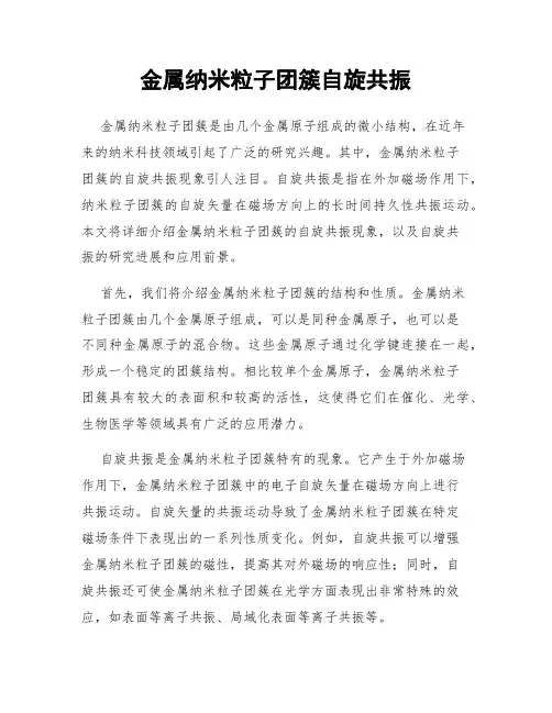 金属纳米粒子团簇自旋共振