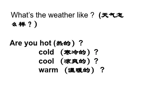 最新湘少版四年级英语下册Unit 2 Spring is warm
