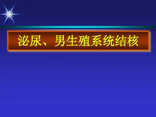 《泌尿生殖系统结核》