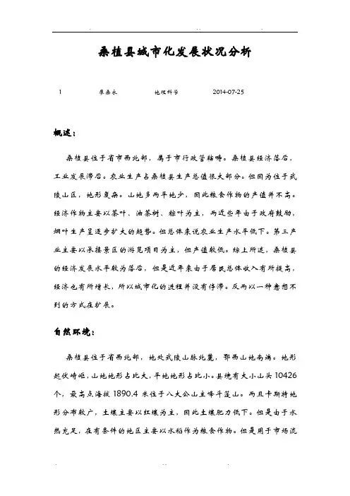桑植县城市化发展状况分析