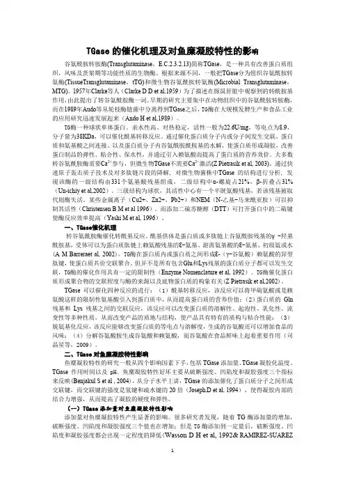 TGase的催化机理及对鱼糜凝胶特性的影响