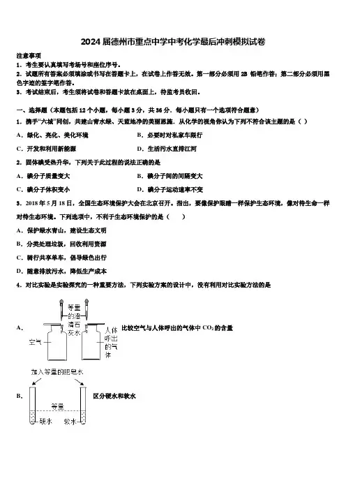 2024届德州市重点中学中考化学最后冲刺模拟试卷含解析