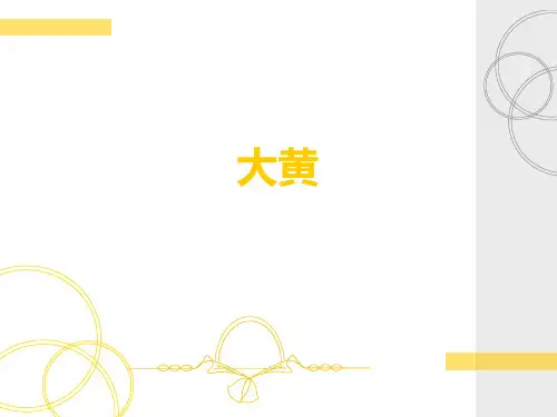 大黄