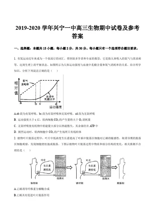 2019-2020学年兴宁一中高三生物期中试卷及参考答案