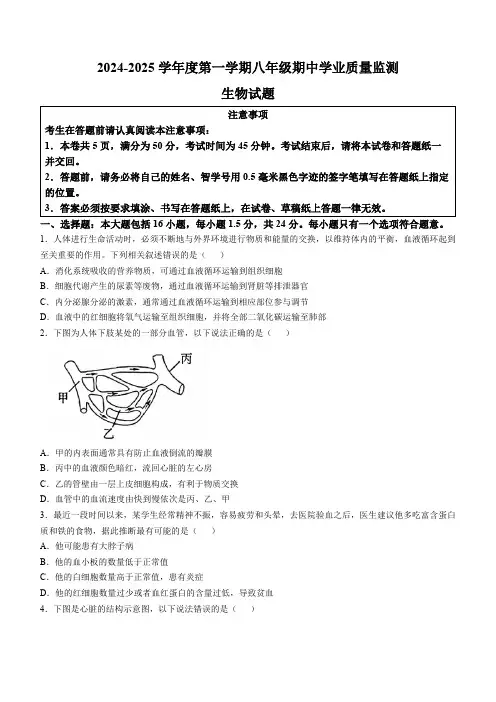 江苏省如皋市2024-2025学年八年级上学期期中生物学试题(含答案)