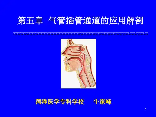 第五章  气管插管通道的应用解剖