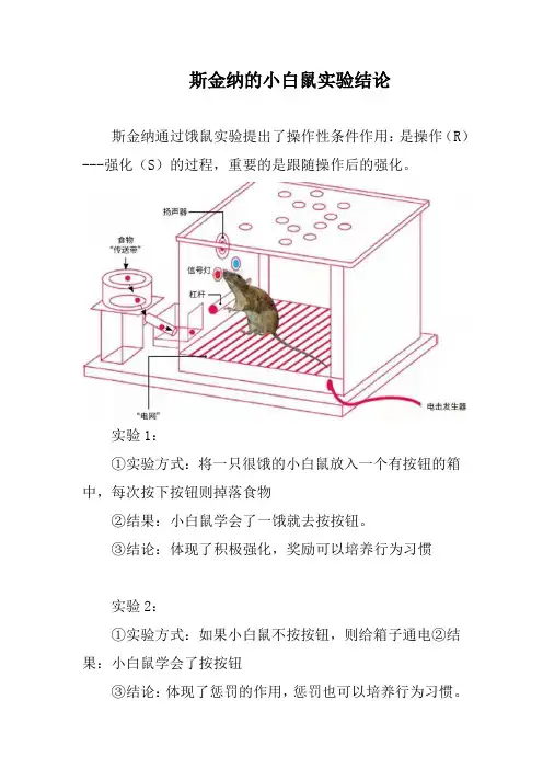 斯金纳的小白鼠实验结论