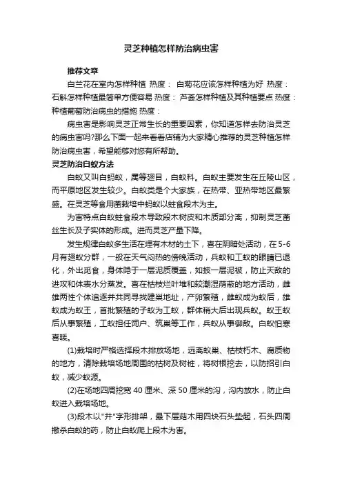 灵芝种植怎样防治病虫害