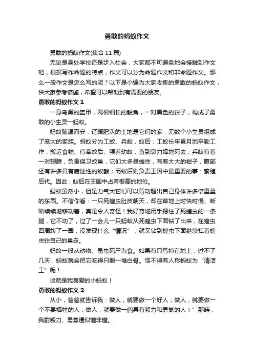 勇敢的蚂蚁作文（集合11篇）