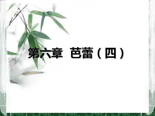 第六章  芭蕾(四)