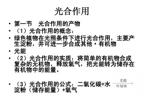 光合作用