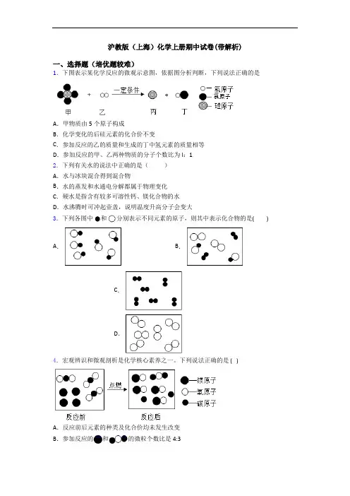沪教版(上海)化学初三化学上册期中试卷(带解析)