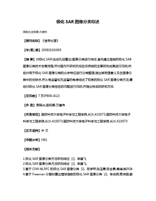 极化SAR图像分类综述