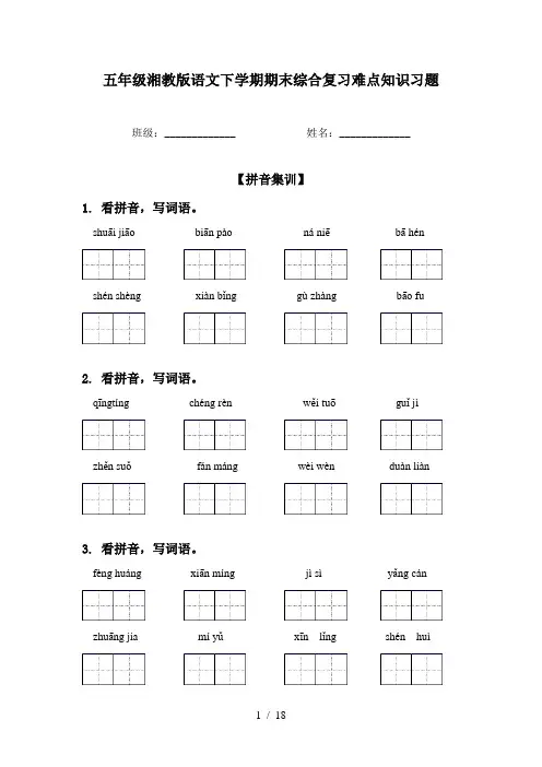 五年级湘教版语文下学期期末综合复习难点知识习题