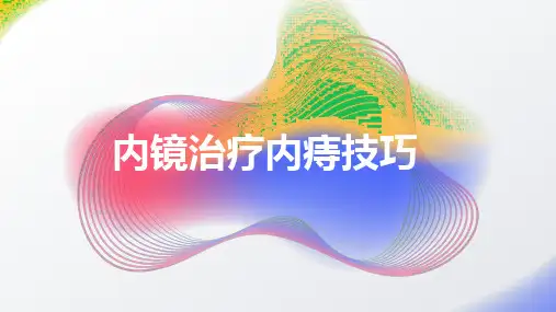 内镜治疗内痔技巧2024课件