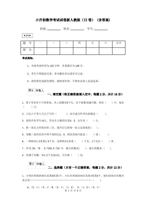 小升初数学考试试卷新人教版(II卷) (含答案)