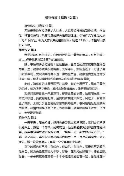 植物作文（精选42篇）