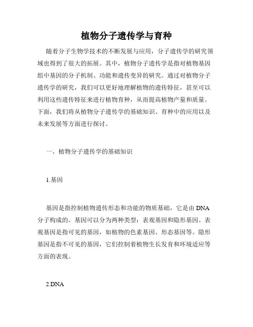 植物分子遗传学与育种