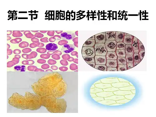 2018学年人教版高一生物必修一1.2细胞的多样性和统一性课件30张PPT