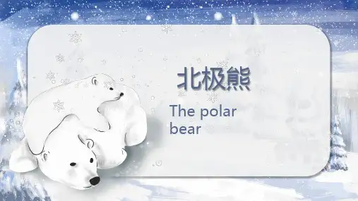 北极熊24至6岁少儿美术PPT课件