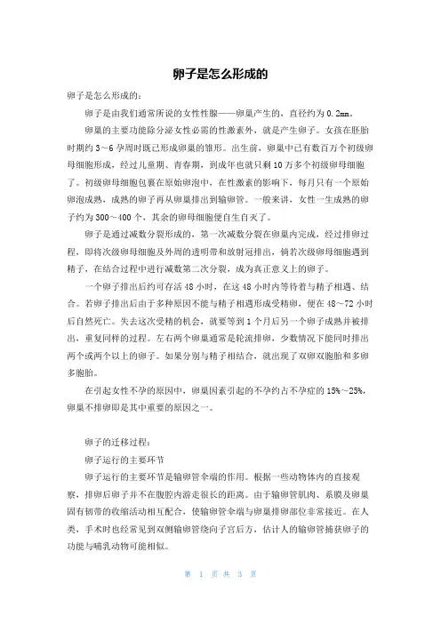 卵子是怎么形成的