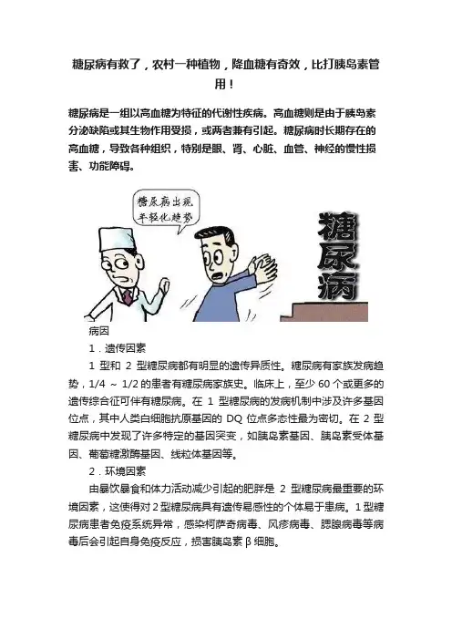 糖尿病有救了，农村一种植物，降血糖有奇效，比打胰岛素管用！