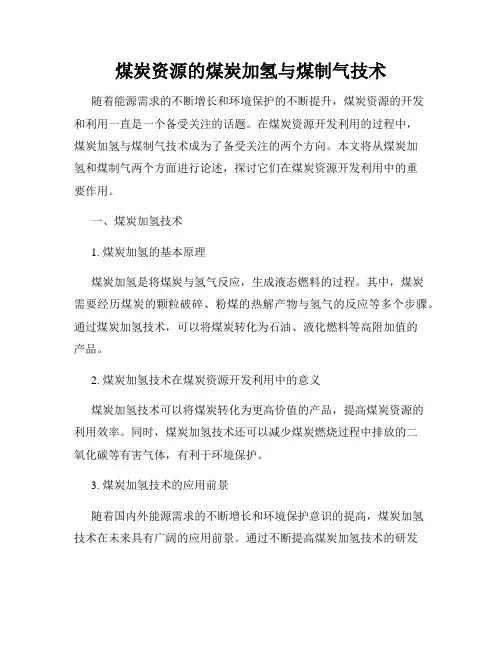 煤炭资源的煤炭加氢与煤制气技术