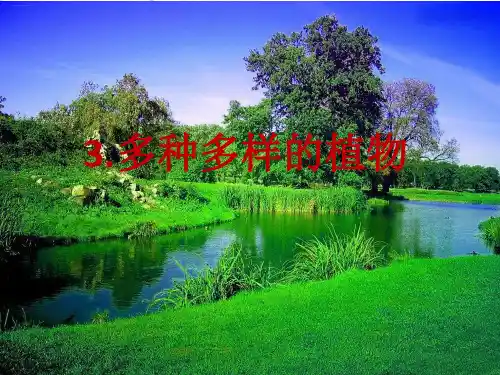 【教科版】教材《多种多样的植物》PPT-上课课件1