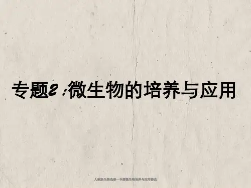 人教版生物选修一专题微生物培养与应用修改