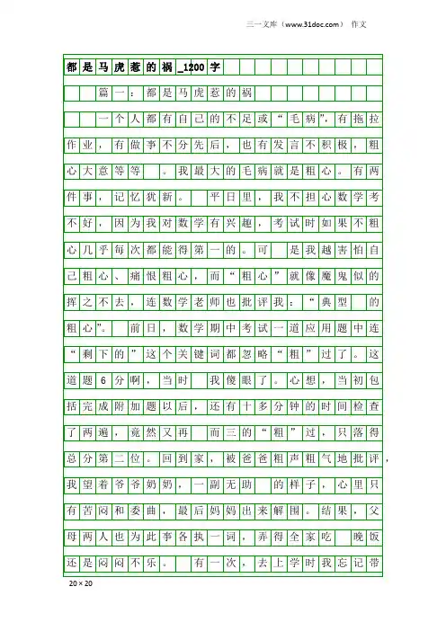 作文：都是马虎惹的祸_1200字