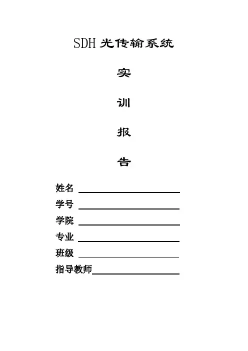 SDH实训报告模板1