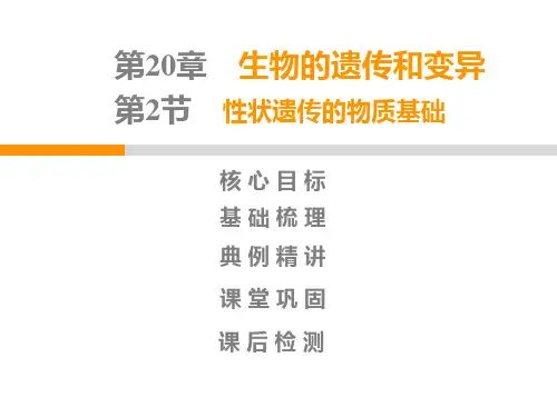 生物北师大版八年级上册第6单元第20章第2节性状遗传的物质基础PPT课件