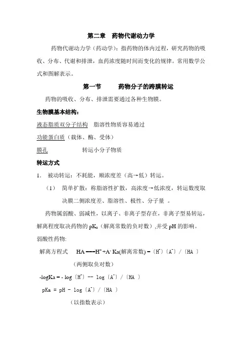 药物代谢动力学