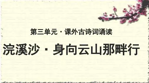 《浣溪沙·身向云山那畔行》 示范教学PPT课件【部编新人教版九年级语文下册(统编教材)】