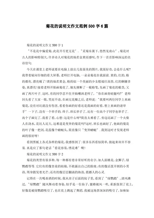 菊花的说明文作文范例500字6篇