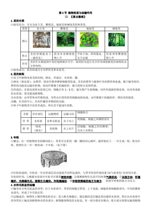 2020-2021学年浙教版八年级科学下册讲义：第4章-第4节-植物的茎与运输作用