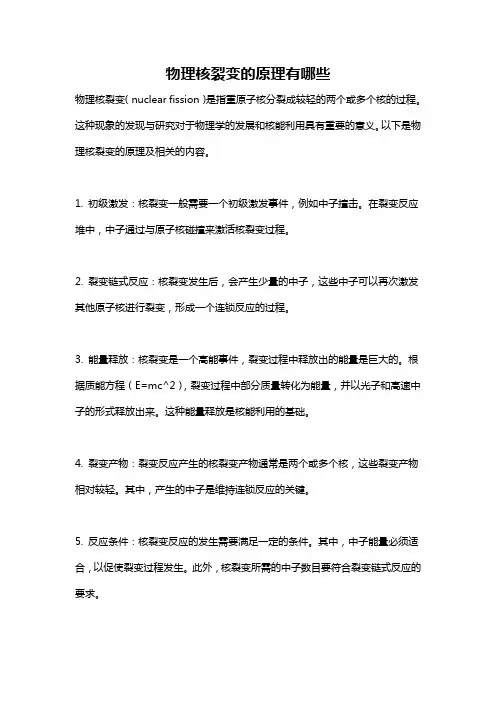 物理核裂变的原理有哪些