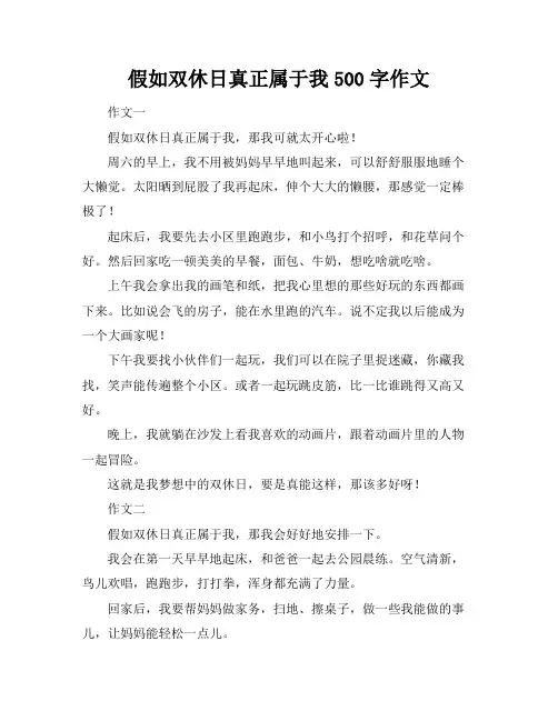 假如双休日真正属于我500字作文