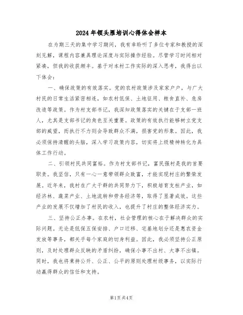 2024年领头雁培训心得体会样本（三篇）
