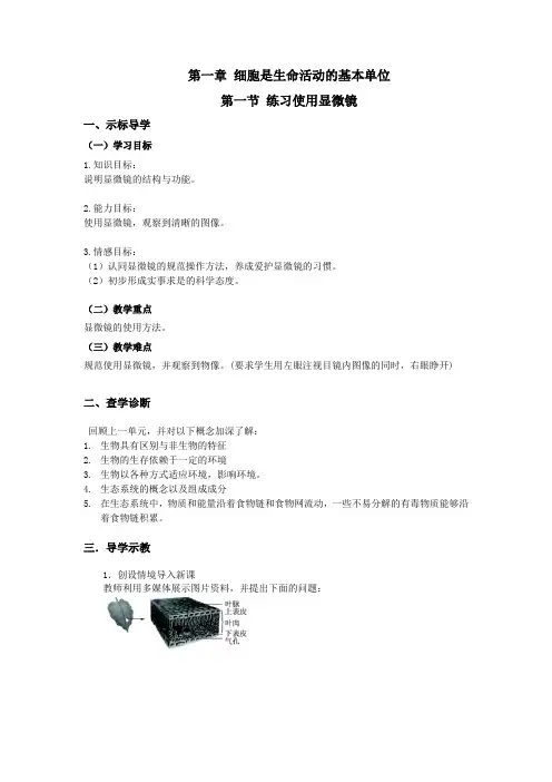 练习使用显微镜