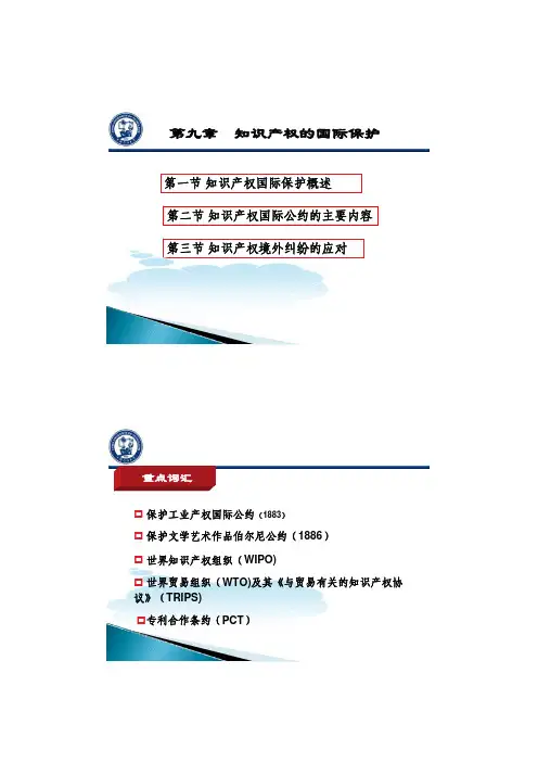 第九章---知识产权的国际保护