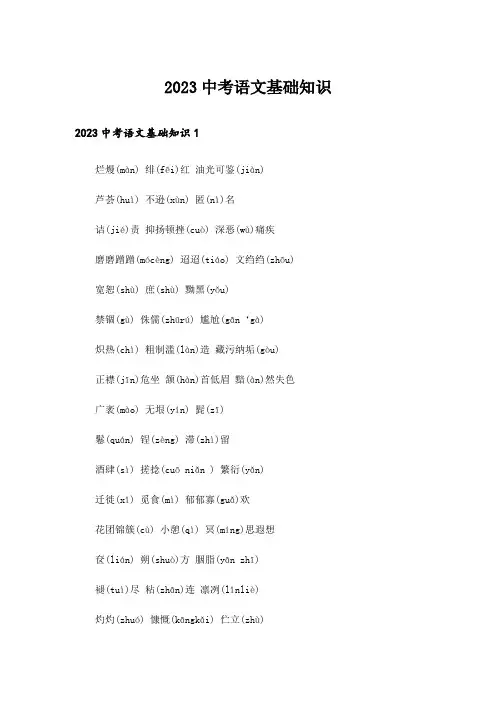 2023中考语文基础知识