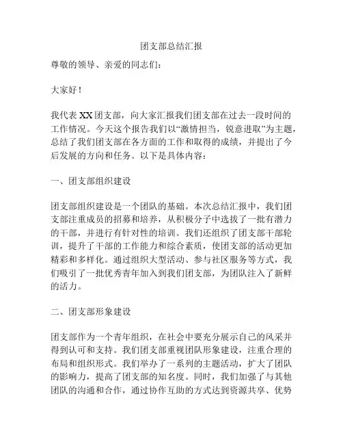 团支部总结汇报