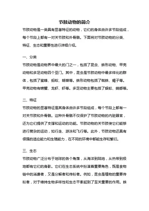 节肢动物的简介