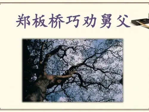 《郑板桥巧劝舅父》课件2-优质公开课-湘教二下精品