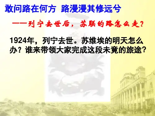 斯大林模式的社会主义建设道路