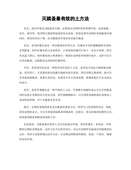 灭跳蚤最有效的土方法